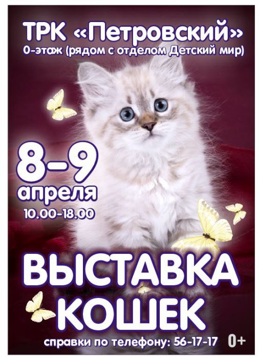Изображение для новости Весенняя выставка кошек