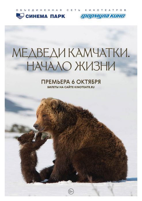 Изображение для новости Премьера! Фильм о жизни камчатских медвежат