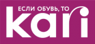 Логотип KARI
